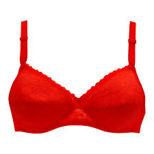 **Bra Manufacturer – Custom OEM & Private Label Women’s Intimate Apparel** - Image 5